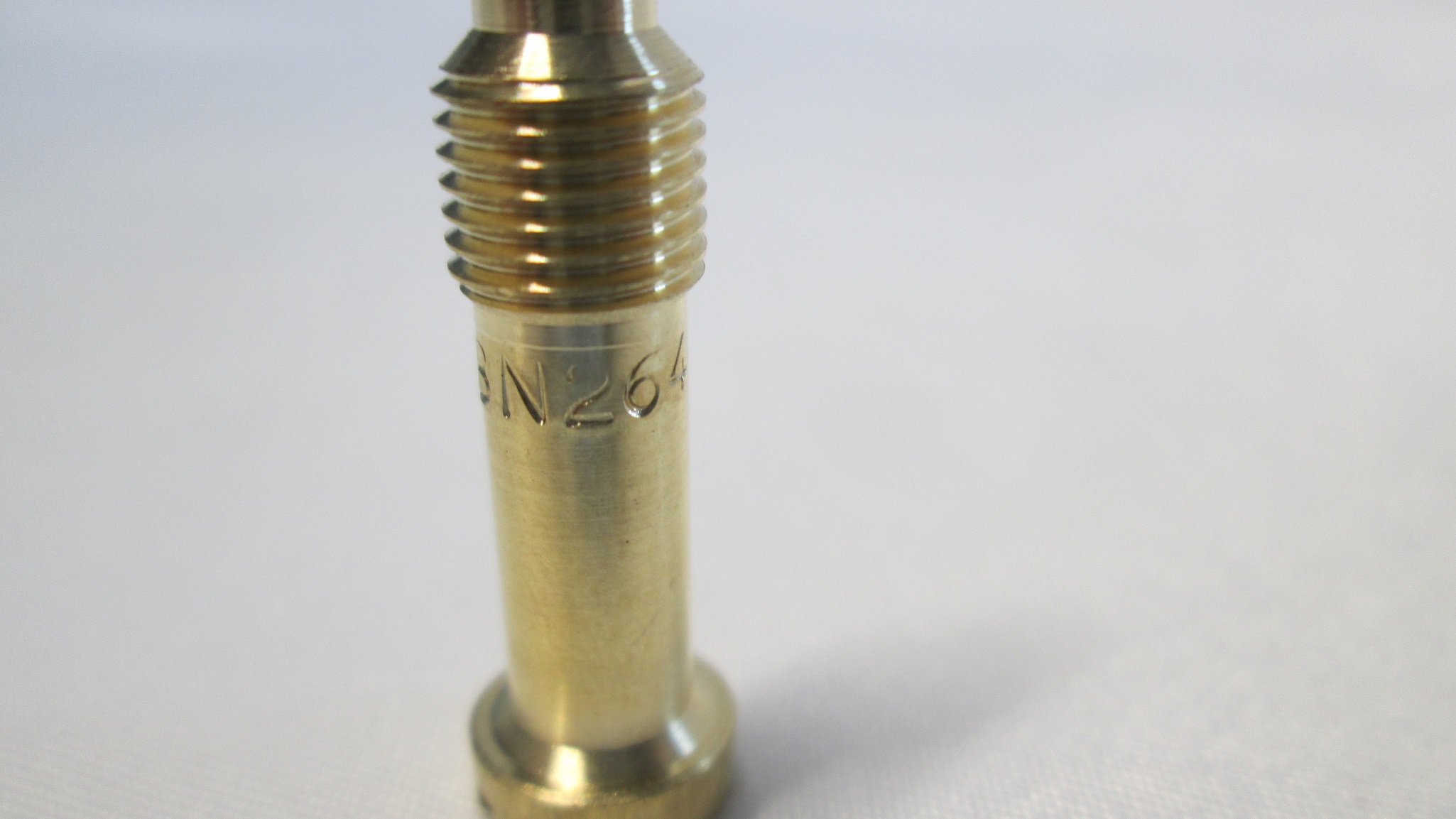 10174264 - immagine 2