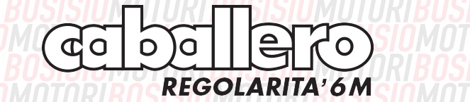 09614006021 - immagine 2