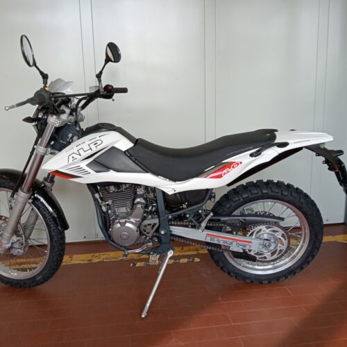 BETA ALP 4.0 (anno 2008)