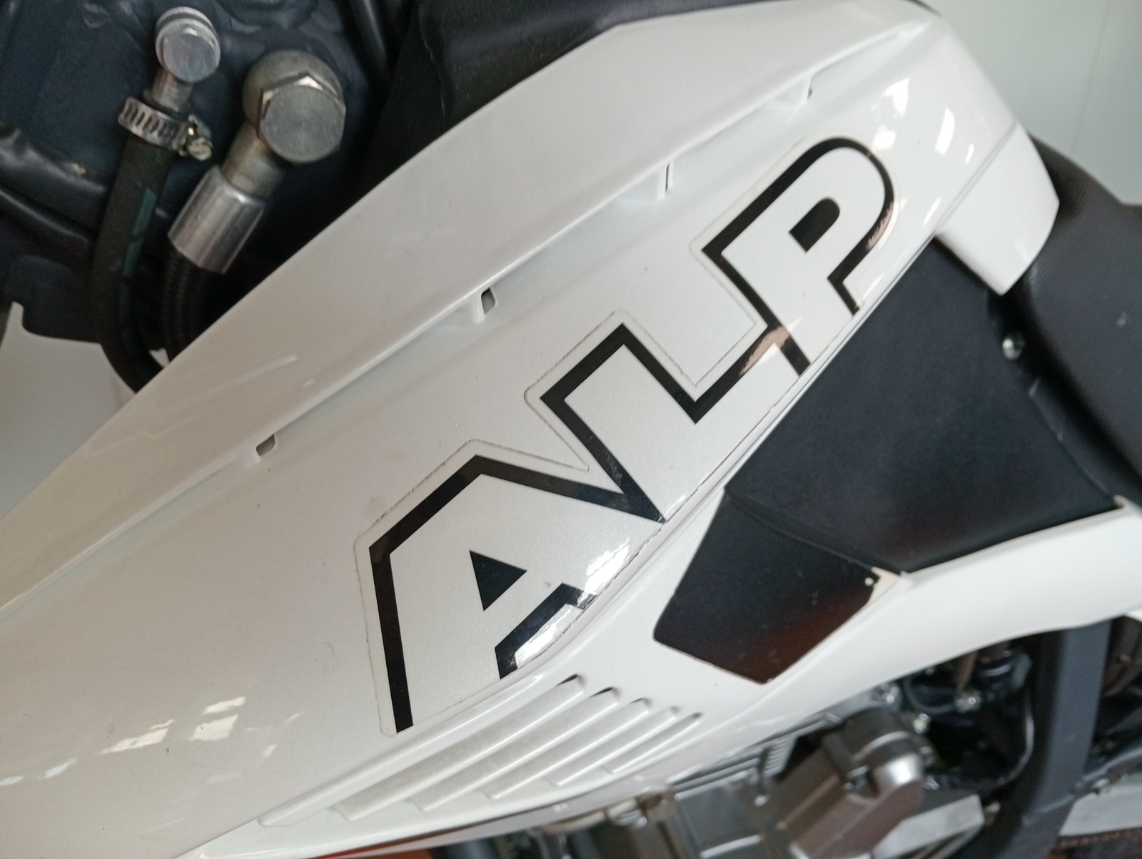 BETA ALP 4.0 (anno 2008) - immagine 13